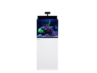 MAX NANO G2 XL AVEC MEUBLE Blanc Redsea