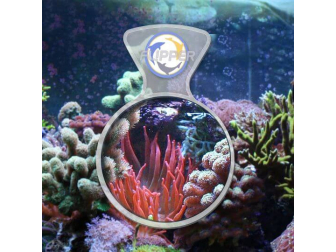 Flipper DeepSee Standard
