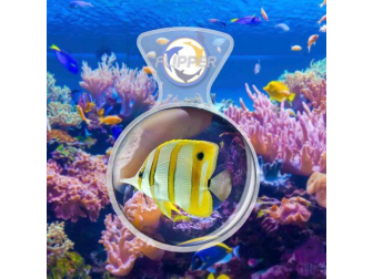 Flipper DeepSee Standard