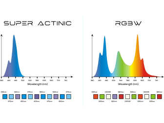 Vitamini VM-900 Illumagic
