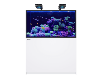 REFFER MAX S-550 G2+