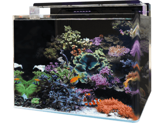 Aquarium REEF 120 AQUARIUM BLUE MARINE 