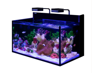 MAX NANO G2 XXL