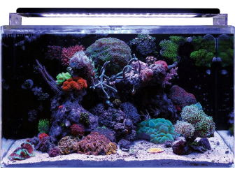 Acquario REEF 160 BLUE MARINE