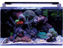 REEF 160 BLUE MARINE Aquarium
