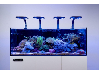 Maxspect Jump LED 65W BLAU