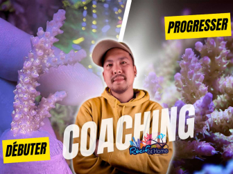 Reef Technics Tai - Coaching d'1 Heure