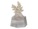 Support pour coraux Aqua Medic