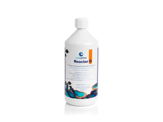 Reacteur O 1000 ml Oceamo
