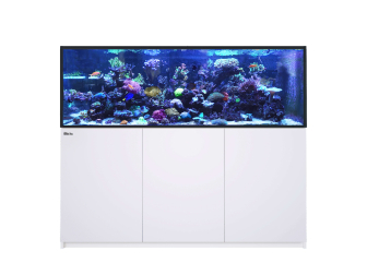 REEFER G3 XXL 750