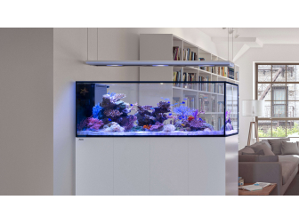 Peninsula G3 500 aquarium Redsea
