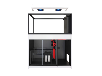 Peninsula G3 500 aquarium Redsea