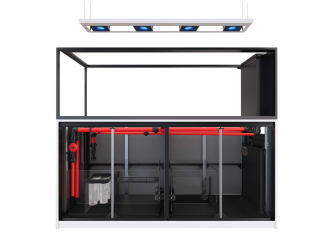 Peninsula G3 S-950 Redsea