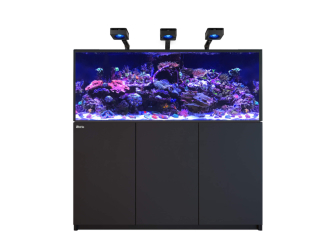 Reefer G3 XL 625