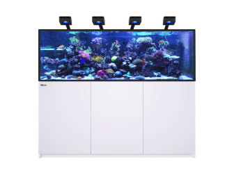 REEFER G3 XXL 750