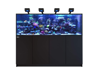 REEFER G3 XXL 750