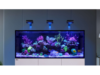 Reefer G3 XL 625