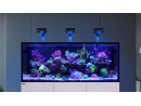 Reefer G3 XL 625