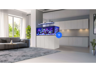 Peninsula G3 S-700 Redsea