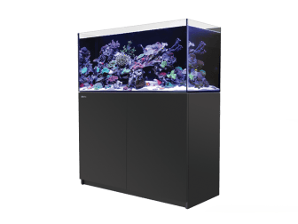 REEFER 350