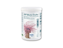 NP-BACTO-TRICKS 2 l secchio TROPIC MARIN