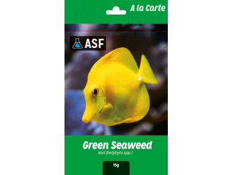 A la Carte Green Seaweed Aquarium systems