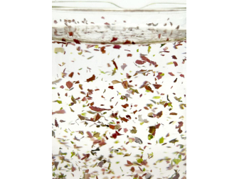A la Carte Tri-Algae Mix MINI Aquarium systems