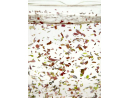 A la Carte Tri-Algae Mix MINI Aquarium systems