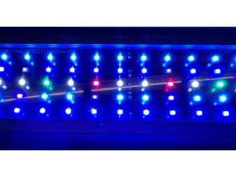 Sunbeam 60 Aquamedic