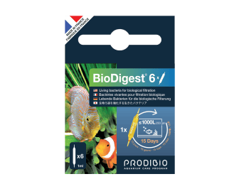 Bio Digest 6 Ampollas Bacterias