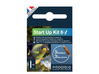 START UP 6 FIALE