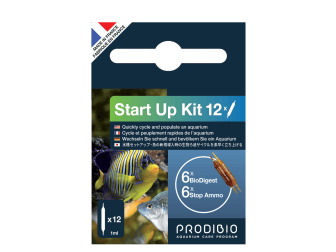 START UP 12 AMPOLLAS