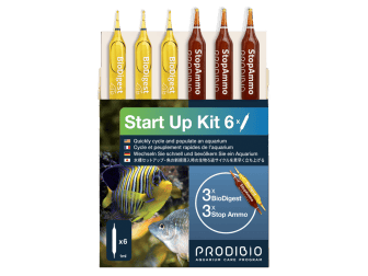 START UP 6 AMPOULES Prodibio