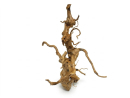RARE red vine L 30-50cm
