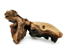 MOPANI-WURZEL PM 10-25CM