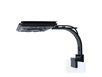 Jump MJ-L290 Blue LED Maxspect 
