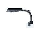 Jump MJ-L260 Blaue LED Maxspect