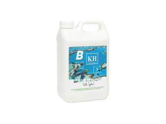 Basis Element B 5L