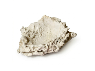 Tridacna Holder 1 piece PoseidonArtRocks