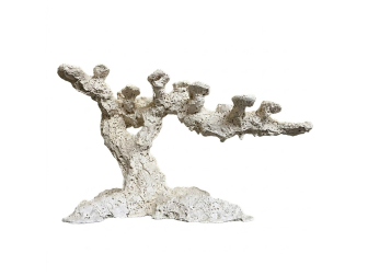 Long Reef Tree M PoseidonArtRocks