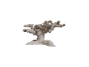 Reef Tree M PoséidonArtRocks