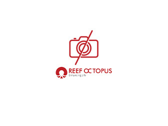 BR-MF-140 Octo 1000 Liters General Bio-Pellets Reactor