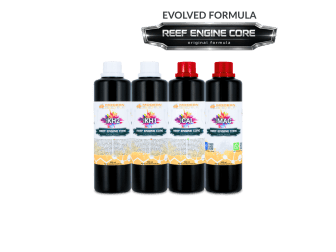 All-in-one Reef Keeping System (RKS) 4x500mL Set REEF ENGINE CORE 7.7x High Concentrate Modern Reef