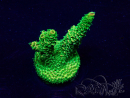 WYSIWYG Acropora Marikultur akklimatisiert LED