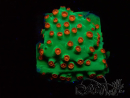 WYSIWYG - WWC Cyphastrea Jingle Bells 3M6