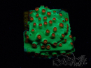 WYSIWYG - WWC Cyphastrea Jingle Bells 3M6