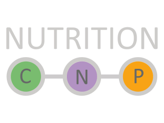 ATI Nutrition P 500 ml