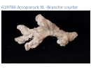 Acroporock XL Branche courbe 35 38 cm 619786