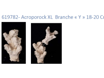 Acroporock XL Kit 13 pièces 619780
