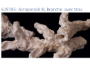 Acroporock XL Kit 13 pièces 619780